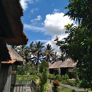 Taman Bintang Villa Ubud